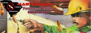 Masterhama Jasa Anti Rayap Depok