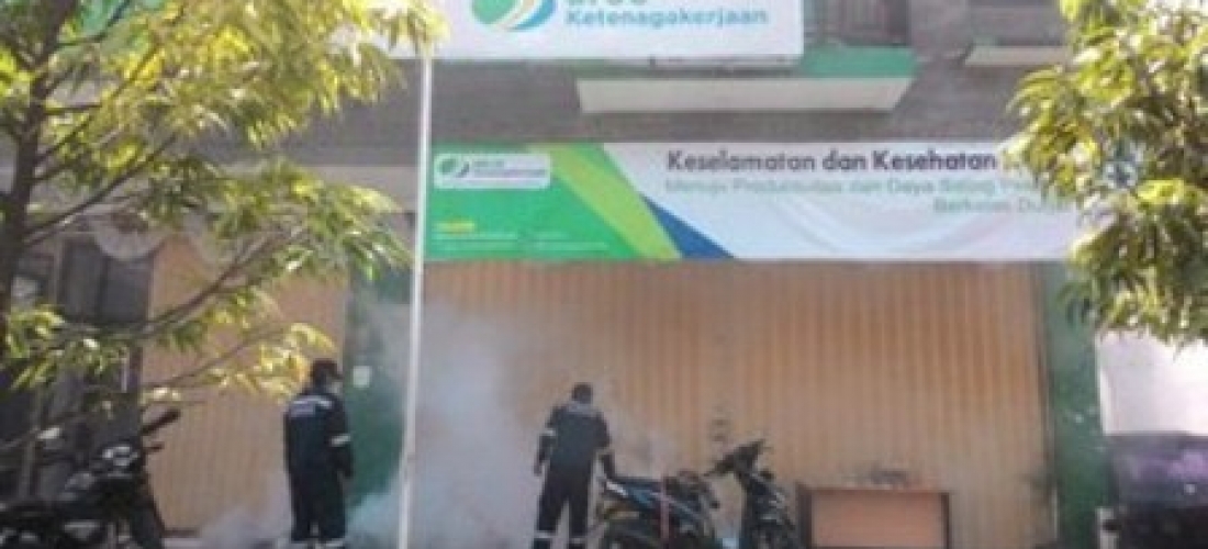Jasa Anti Rayap di Jakarta Barat